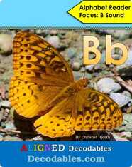 Bb Book