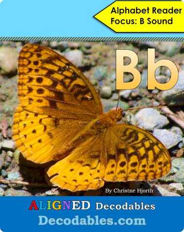 Bb Book book