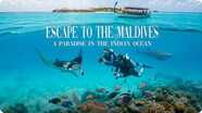 Escape to The Maldives - A Paradise in the Indian Ocean