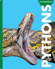 Curious about Pythons