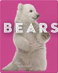 Zoo Animals: Bears