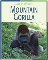 Road To Recovery: Mountain Gorilla