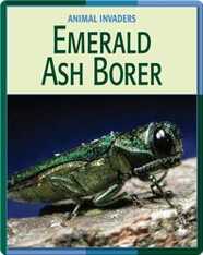 Animal Invaders: Emerald Ash Borer