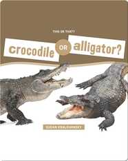 Crocodile or Alligator?