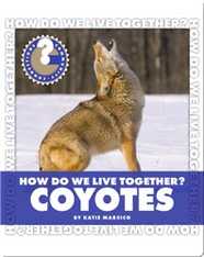 How Do We Live Together? Coyotes