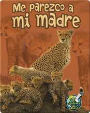 Me parezco a mi madre