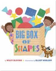 Big Box of Shapes