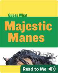 Majestic Manes