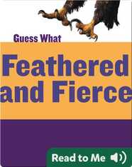 Feathered and Fierce