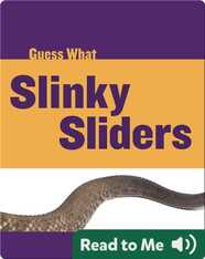 Slinky Sliders