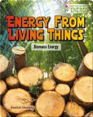 Energy from Living Things: Biomass Energy