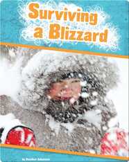 Surviving a Blizzard