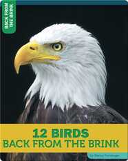 12 Birds Back From The Brink