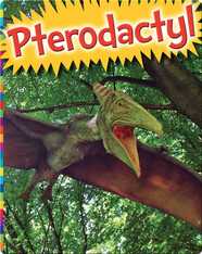 Pterodactyl