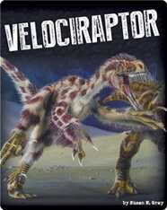Velociraptor