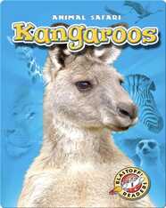 Kangaroos