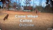 Come When Called 4: Outside | Teacher's Pet With Victoria Stilwell