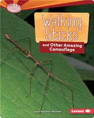 Walking Sticks and Other Amazing Camouflage