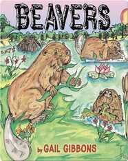 Beavers