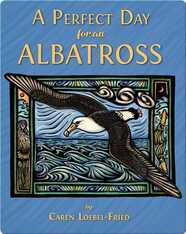 A Perfect Day for an Albatross