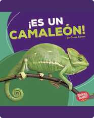 ¡Es un camaleón! (It's a Chameleon!)