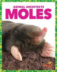 Moles