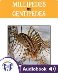 Millipedes and Centipedes