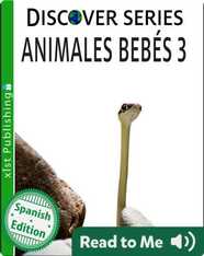 Baby Animales Bebés 3