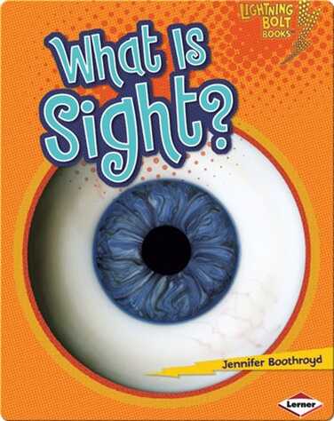 What Is Sight? book