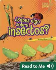 ¿Sabes algo sobre insectos? (Do You Know about Insects?)