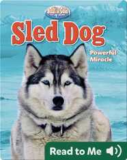 Sled Dog: Powerful Miracle
