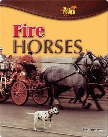 Fire Horses book