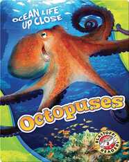 Octopuses