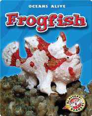 Frogfish