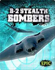 B-2 Stealth Bombers