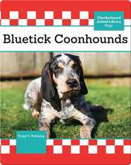 Bluetick Coonhounds