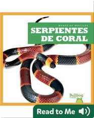 Serpientes de coral (Coral Snakes)