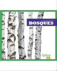 Bosques (Forests)