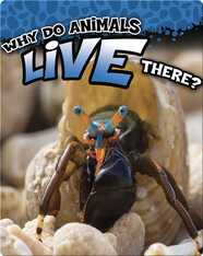 Why Do Animals Live There?