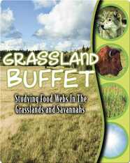 Grassland Buffet: Studying Food Webs In The Grasslands And Savannas