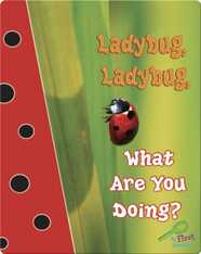 Ladybug, Ladybug, What Are You Doing?