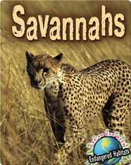 Savannahs