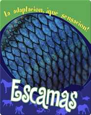 Escamas