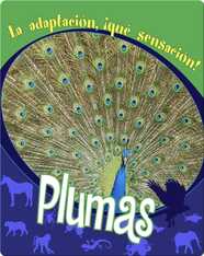 Plumas