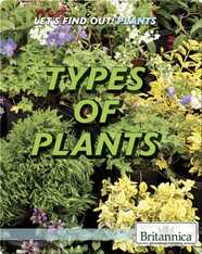 Types of Plants