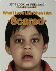 What I Look Like When I Am Scared