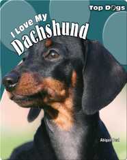 I Love My Dachshund