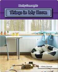 Things in My Room