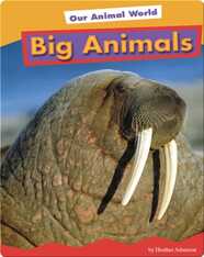 Big Animals