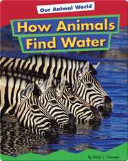 How Animals Find Water